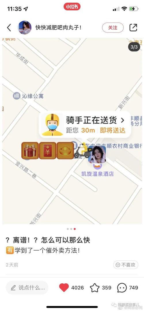 每日吃瓜汇总毛不易,每日吃瓜，乐享生活