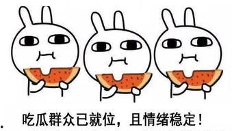 安静吃瓜开心度日,揭秘安静吃瓜的极致快乐