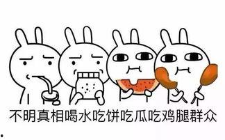 撩妹吃瓜表情回复,解锁恋爱新姿势