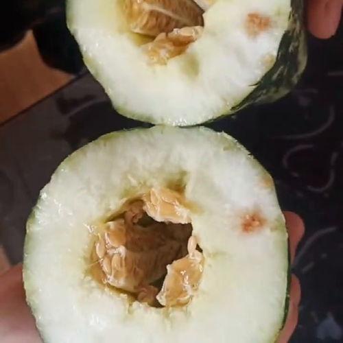 同事吃瓜我不吃,坚守独立视角的职场态度