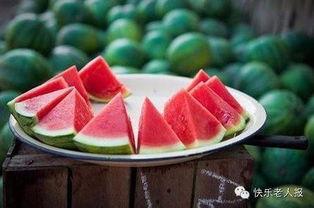 吃瓜能治病吗,揭秘吃瓜能否治病之谜