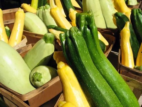 海伦司吃瓜网站,揭秘娱乐圈幕后故事，带你领略明星真实生活