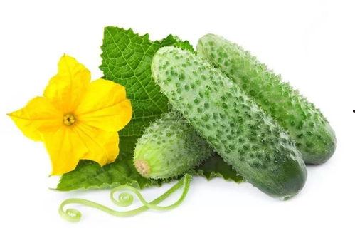 盗笔吃瓜系统,揭秘古墓探险背后的神秘事件