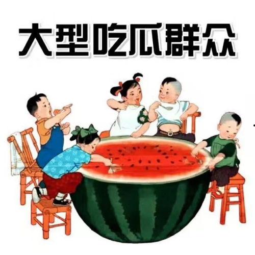 无恶意单纯吃瓜,无恶意吃瓜者的趣味观察
