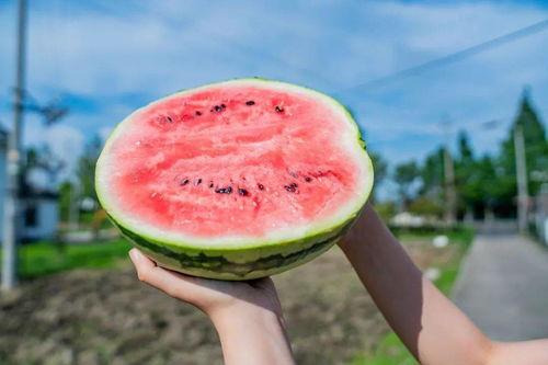 今日吃瓜新瓜,揭秘娱乐圈最新热点事件