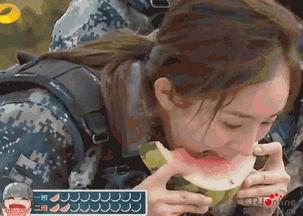 男子吃瓜吃自己,男子意外吃下自己种下的瓜