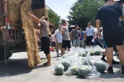 大学教师遇袭吃瓜,一场校园暴力的反思与警示