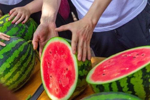 大学教师遇袭吃瓜,一场校园暴力的反思与警示