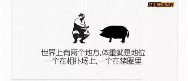 表演吃瓜文案搞笑,一场吃瓜界的欢乐盛宴