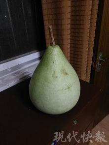 盐城吃瓜事件,一场网络舆论的风暴与反思