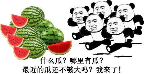 华强今天没吃瓜,静享宁静时光