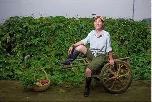 种田养老吃瓜文案,种田生活新风尚