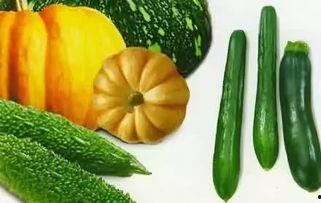 东升瓜怎么吃,解锁夏日清新美味