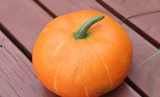 秋天吃脆瓜好吗,脆瓜的清爽美味与营养价值