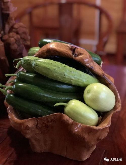 最近仁寿吃瓜事件