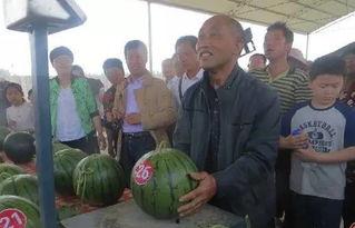 曹县729吃瓜群众,揭秘网络热点的背后故事