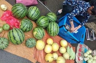 吃瓜的胜利,一场全民参与的狂欢盛宴