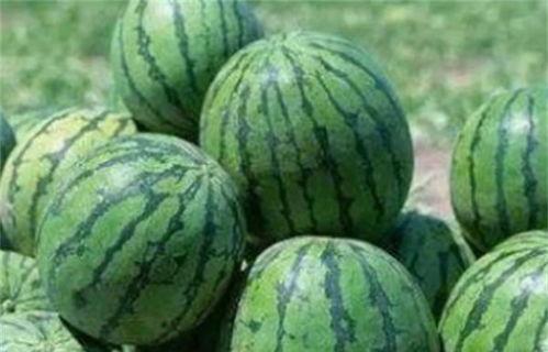 旁边吃瓜的人,揭秘吃瓜群众的趣味人生