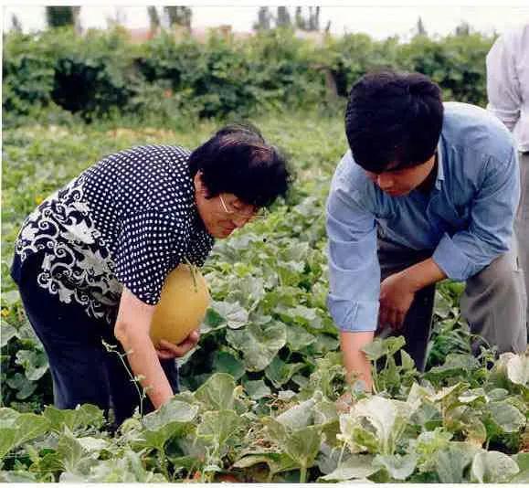 黑交院事件吃瓜,揭秘校园风波背后的真相与反思