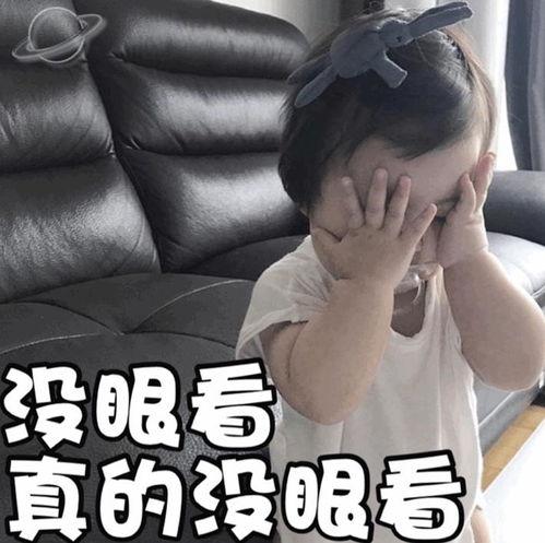 校园暴力吃瓜姐