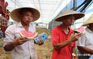 吃瓜工友,揭秘他们的生活与心声