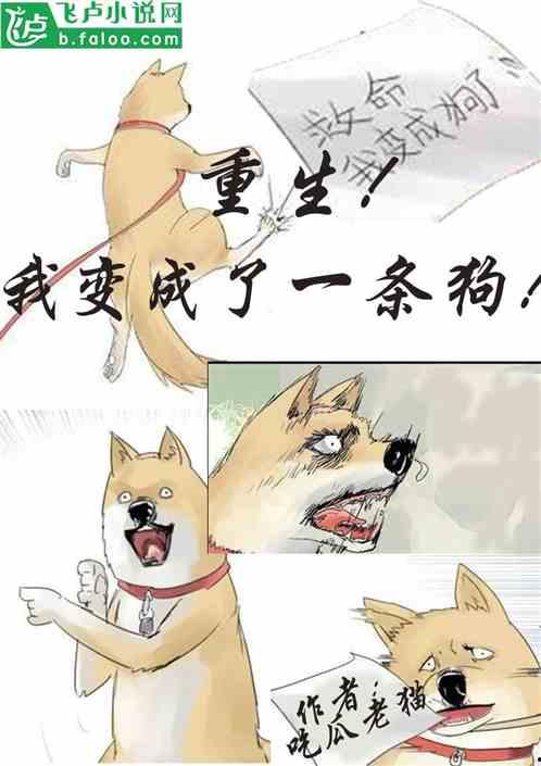 娇柔吃瓜小说免费阅读,揭秘娱乐圈背后的秘密