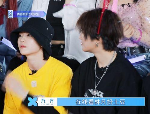 林凡 算命 吃瓜,揭秘娱乐圈吃瓜背后的神秘力量