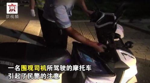 吃瓜群众阳仔,吃瓜群众的趣味生活点滴