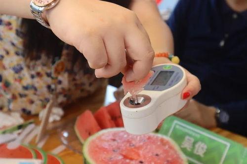 吃瓜直播大福,揭秘网红美食背后的故事