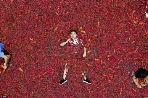 辣眼睛吃瓜大赛,年度最热辣话题大盘点