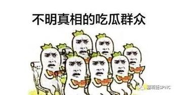 吃瓜群众来看,吃瓜群众视角下的娱乐圈风云录