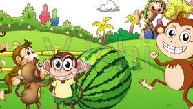 猴子吃西瓜的瓜,猴王与瓜果的欢乐时光