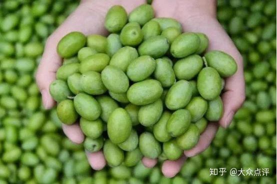 陇南吃瓜大队