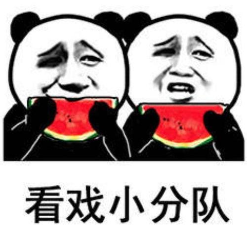 吃瓜看戏照片
