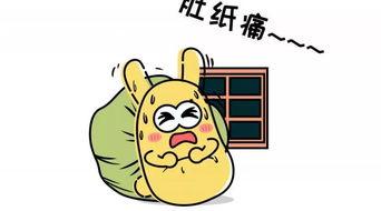 吃瓜群众双胞胎,吃瓜群众的欢乐源泉