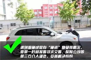 吃瓜红绿灯,趣味解读交通规则